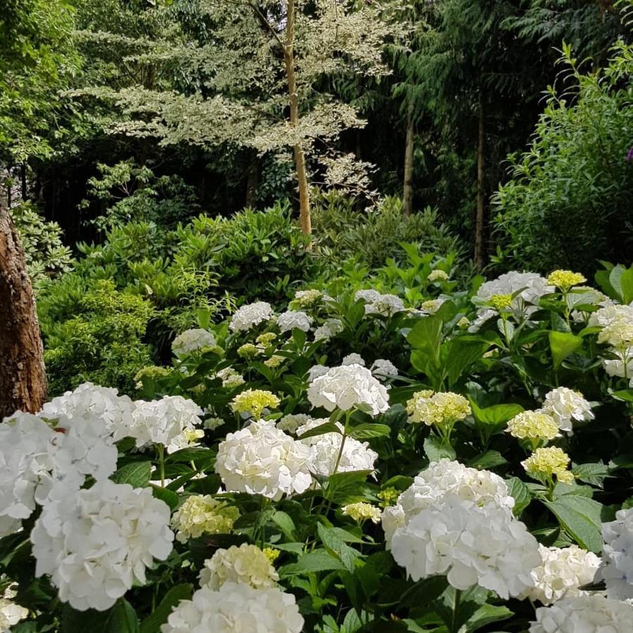 Ribblesdale Gardens Barn Villa อ๊อกซฟอร์ด ภายนอก รูปภาพ